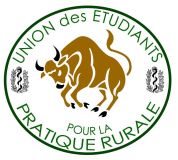 2010