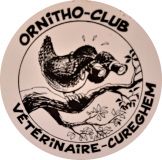 2000