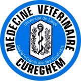 2015