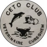 1989