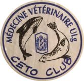 1996