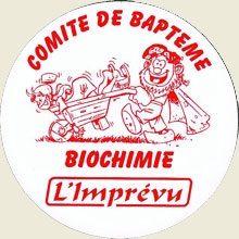 Folk group's logo