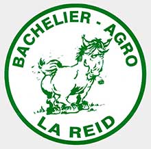 Logo d'la bande folklorique
