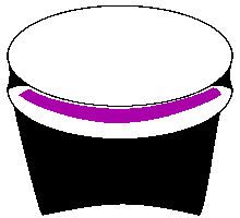 Penne