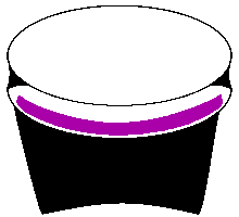 Penne