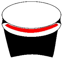 Penne